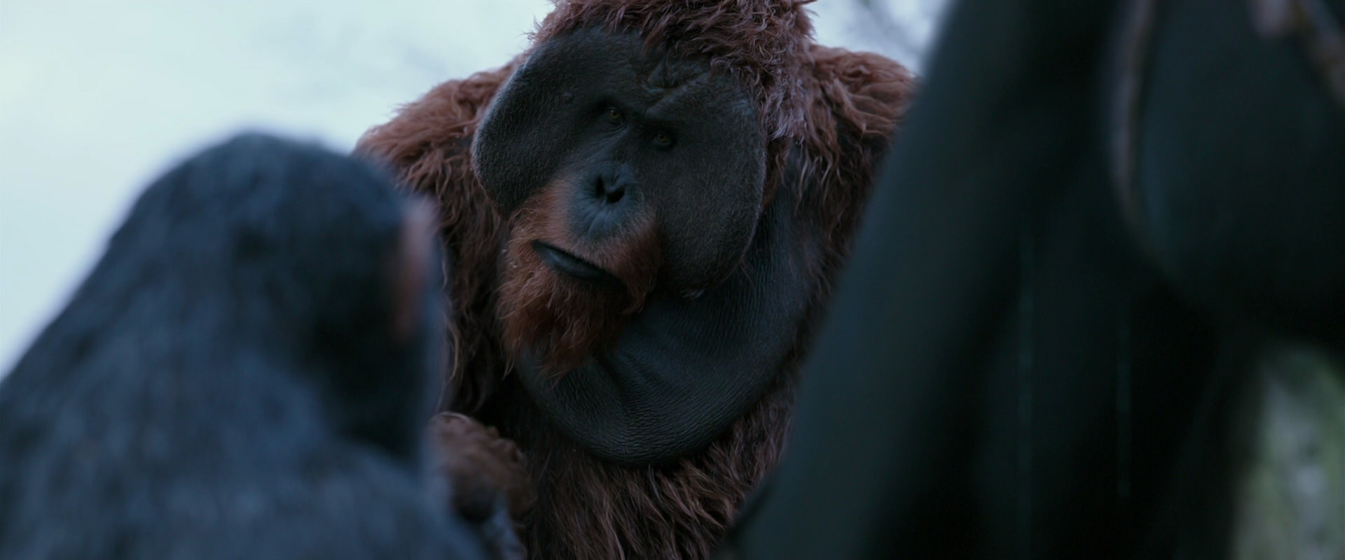 War for the Planet of the Apes (2017) HD screenshot 2906
