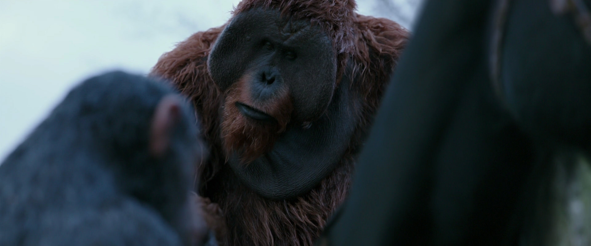 War for the Planet of the Apes (2017) screencap 2907