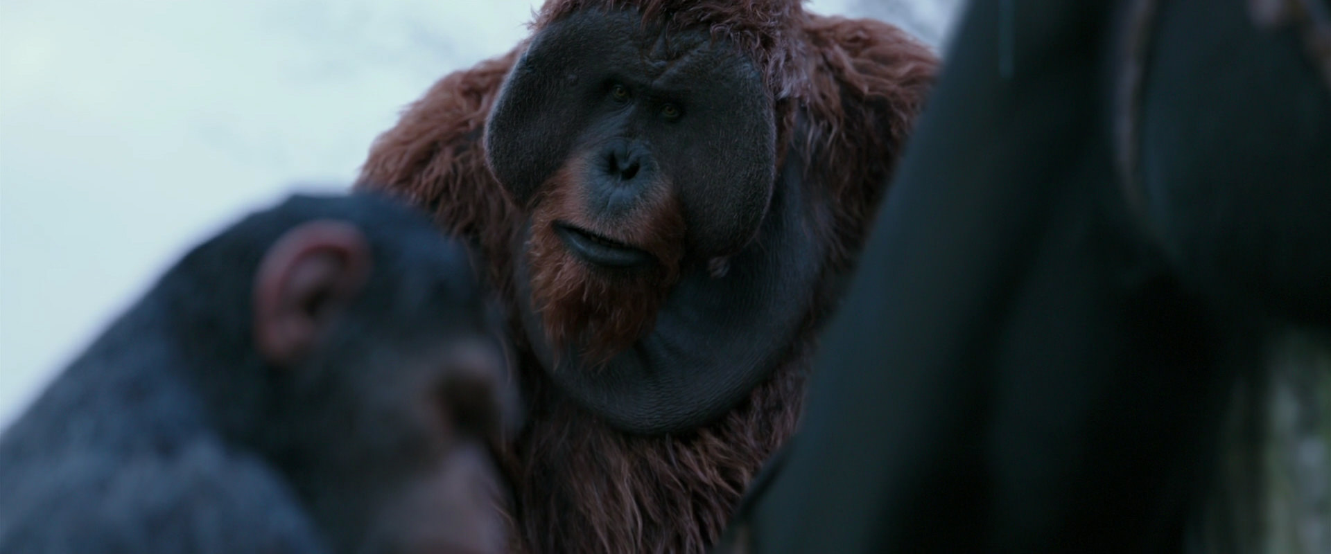 War for the Planet of the Apes (2017) movie still 2908