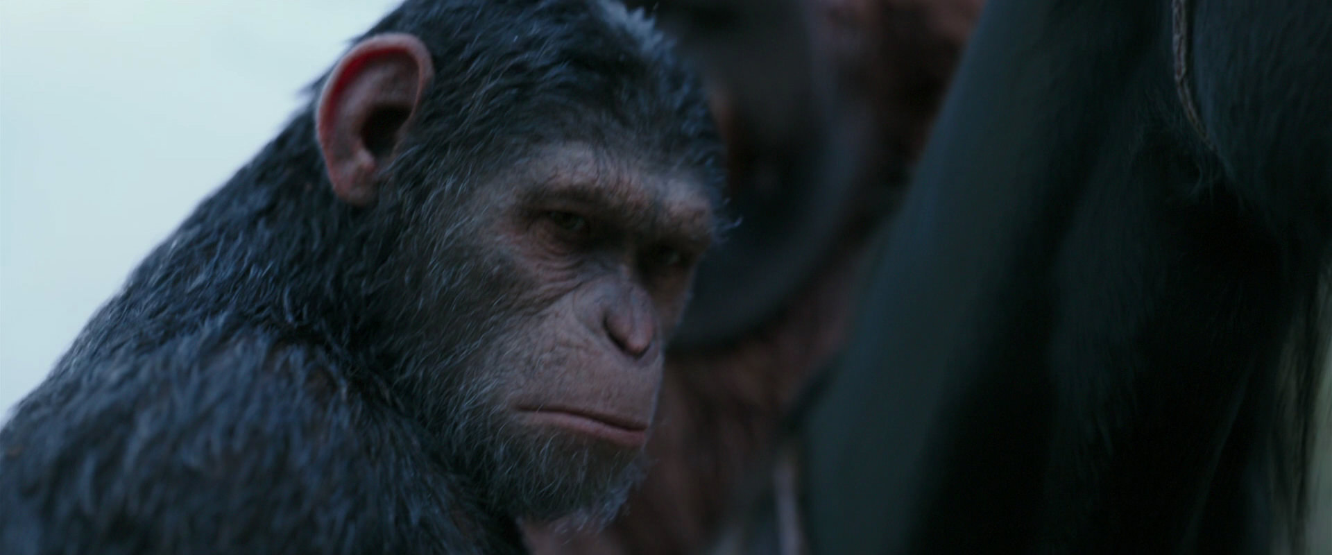 War for the Planet of the Apes (2017) screencap 2910