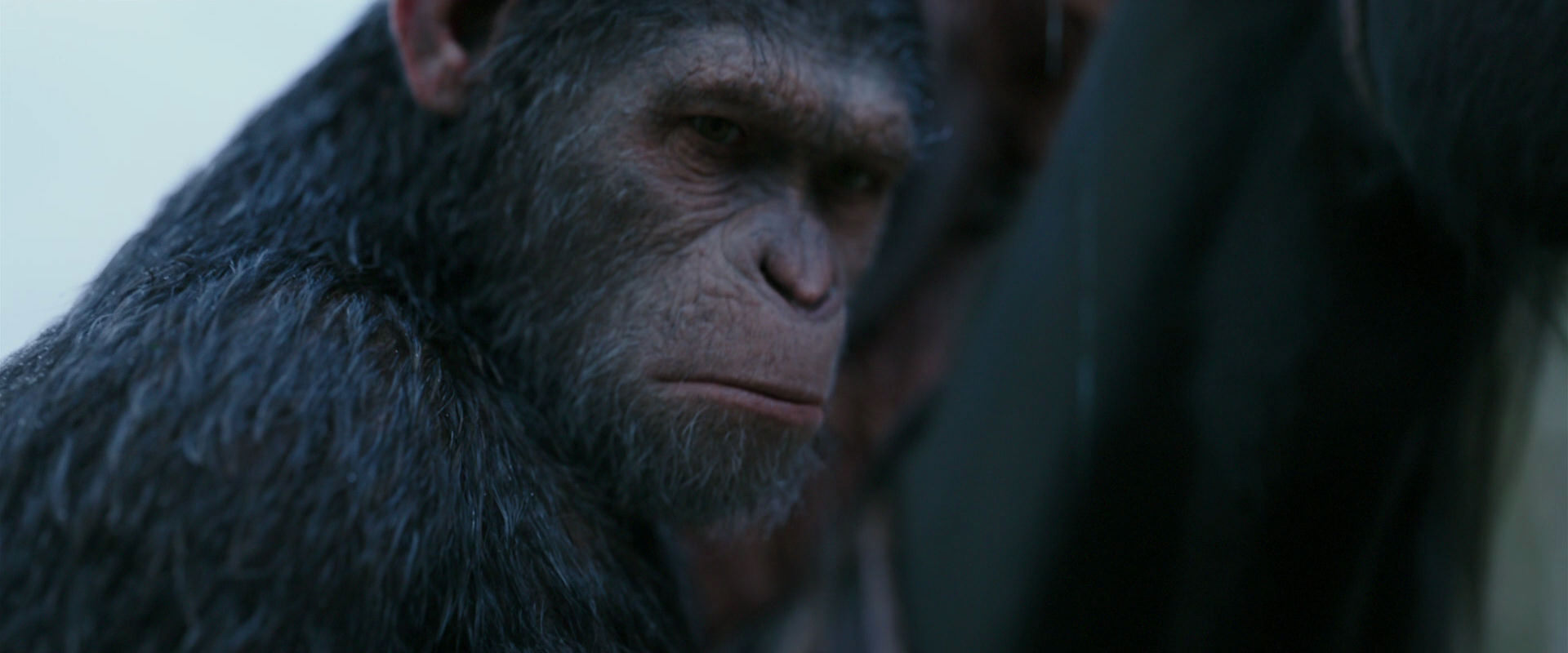War for the Planet of the Apes (2017) movie still 2911