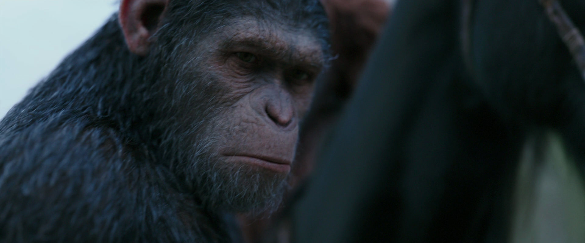 War for the Planet of the Apes (2017) HD screenshot 2912