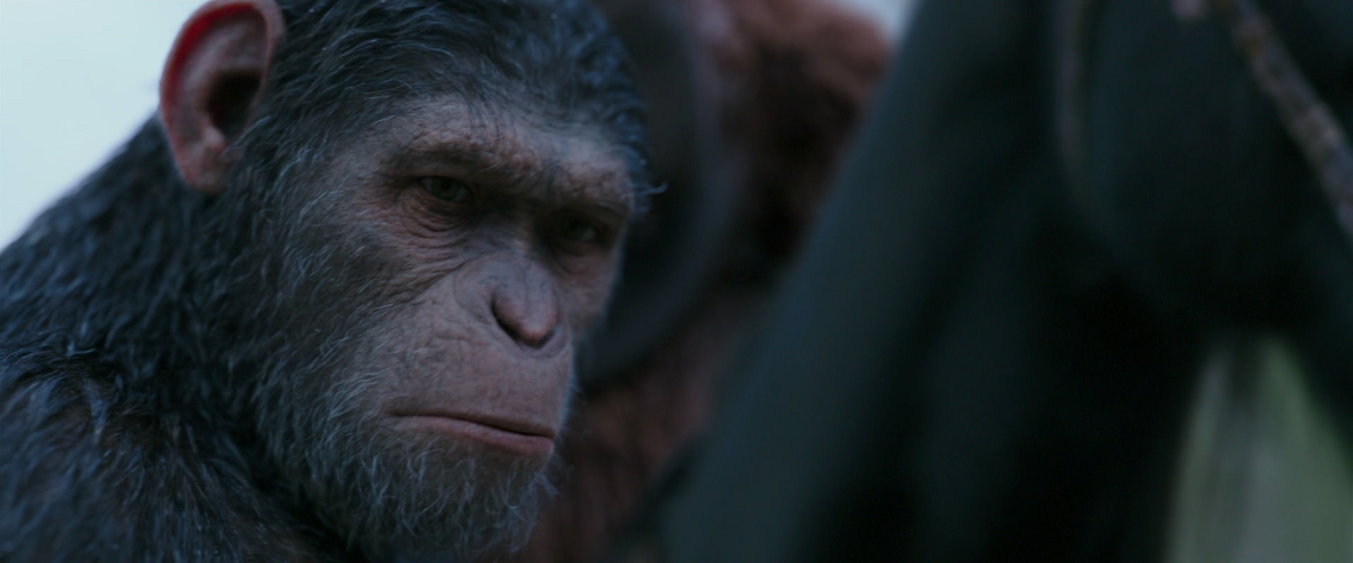 War for the Planet of the Apes (2017) screencap 2913