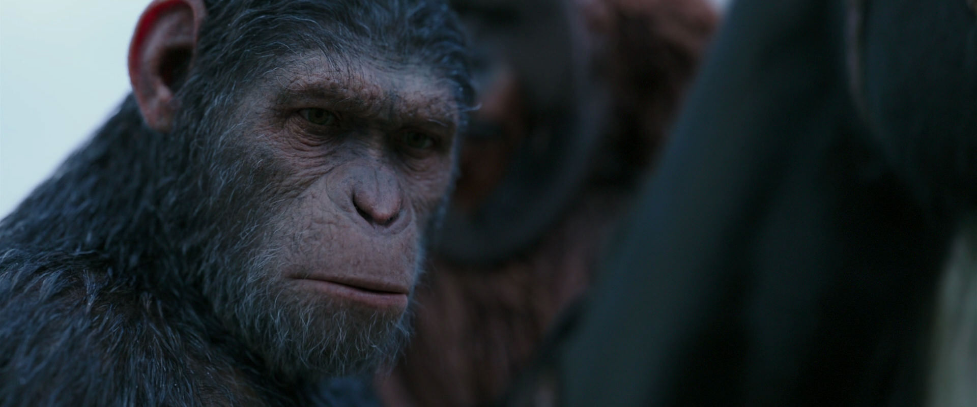 War for the Planet of the Apes (2017) HD screenshot 2915