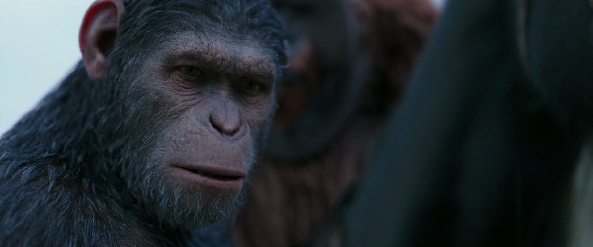 War for the Planet of the Apes (2017) screencap 2916