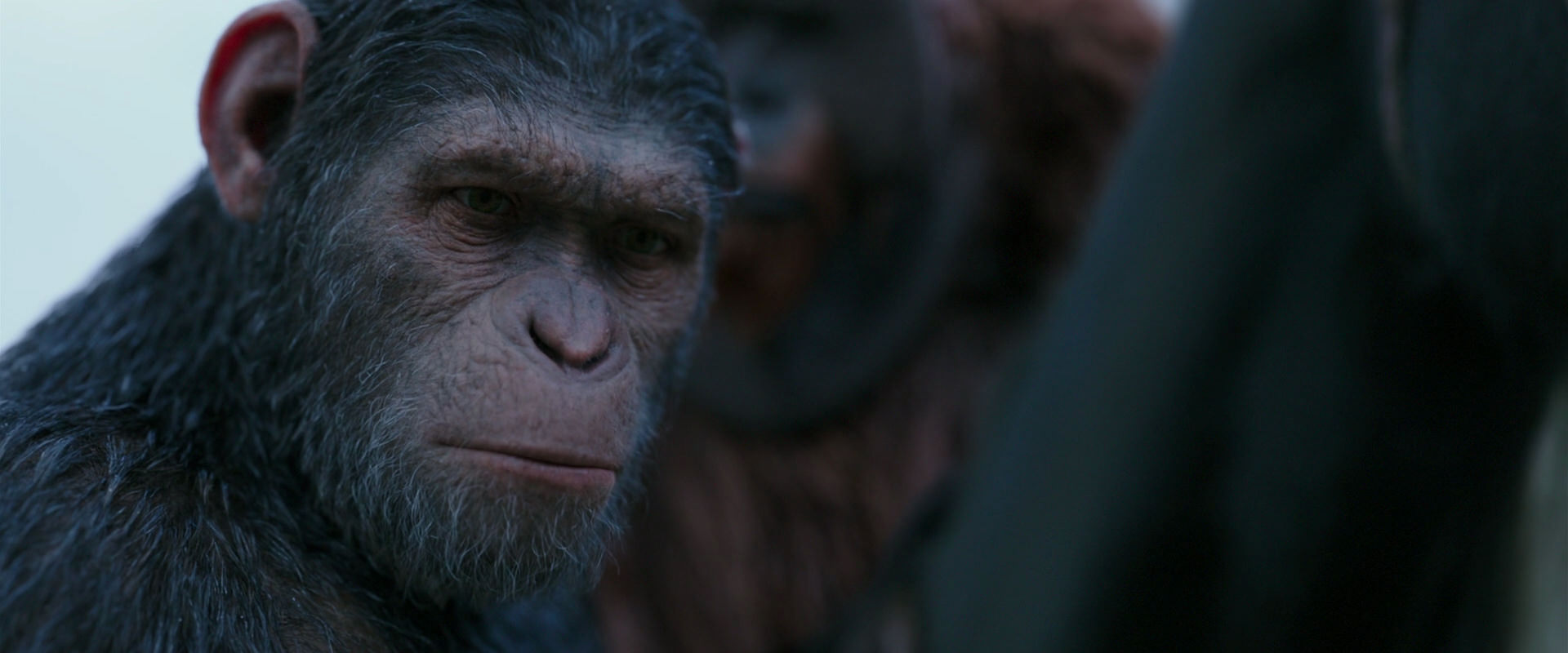 War for the Planet of the Apes (2017) movie still 2917