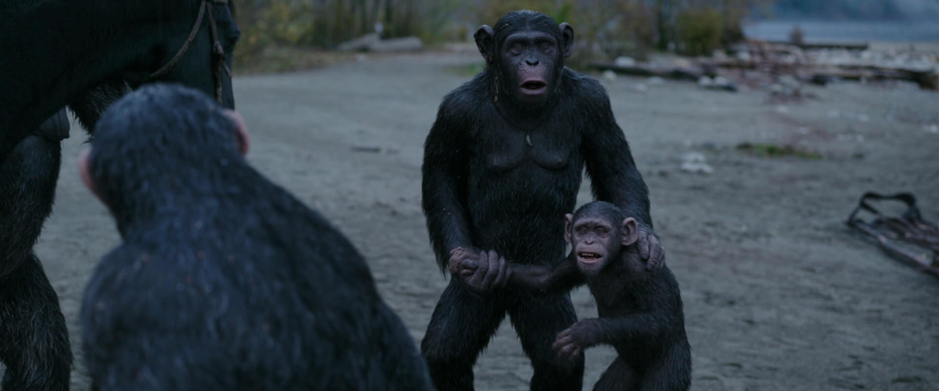 War for the Planet of the Apes (2017) HD screenshot 2918