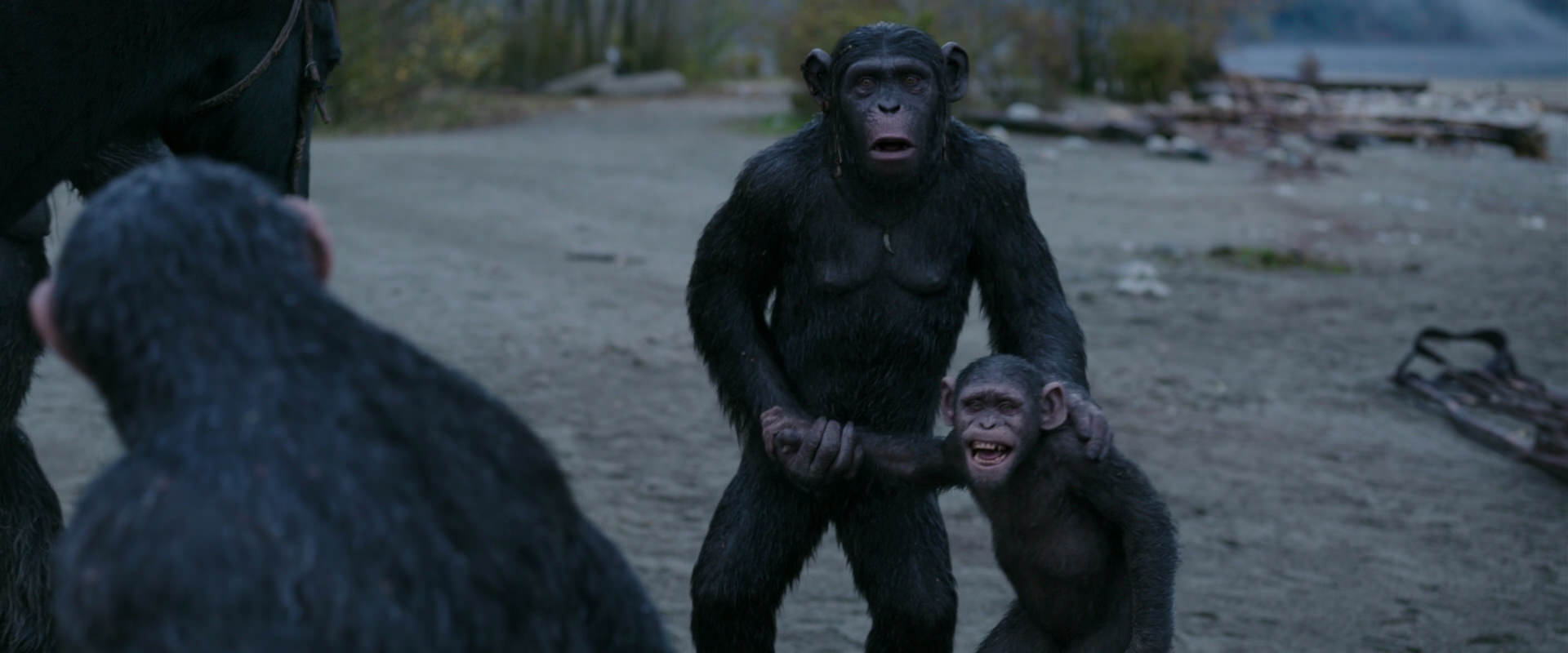War for the Planet of the Apes (2017) screencap 2919