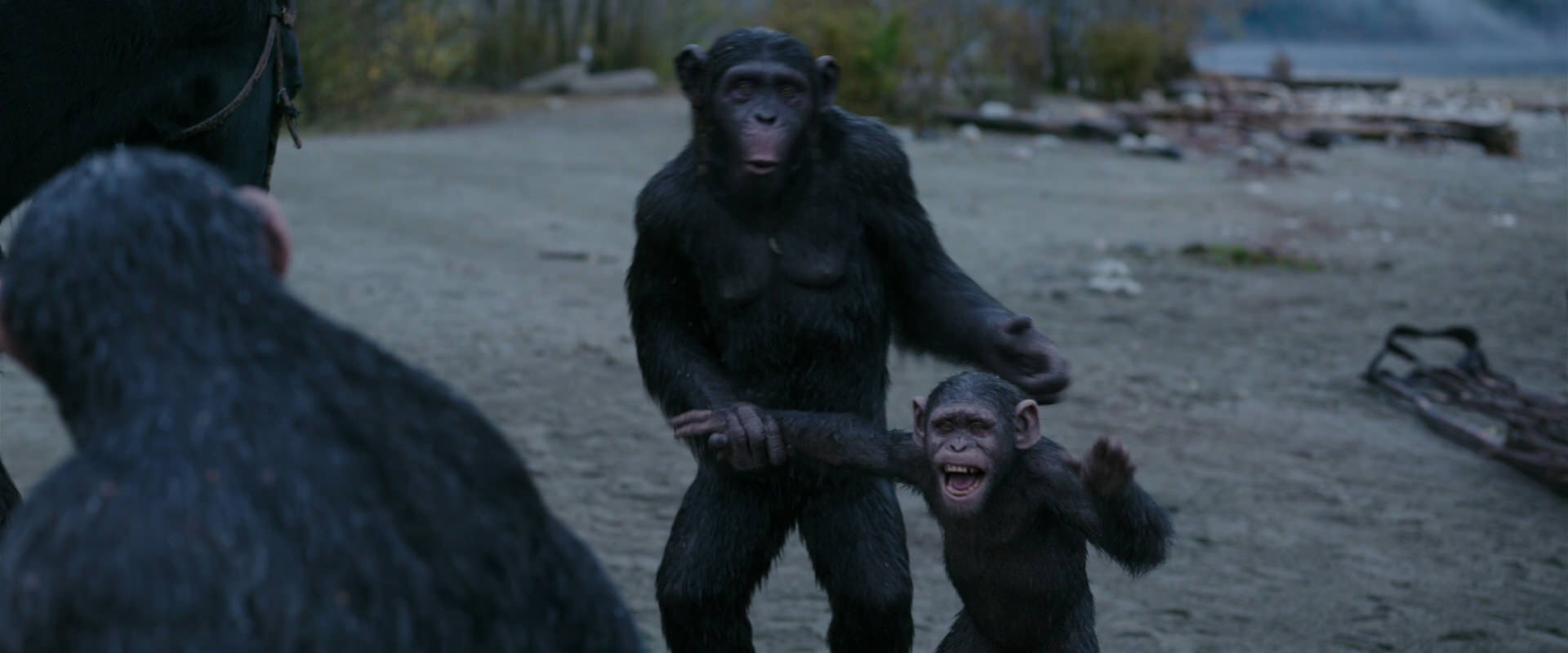 War for the Planet of the Apes (2017) movie still 2920