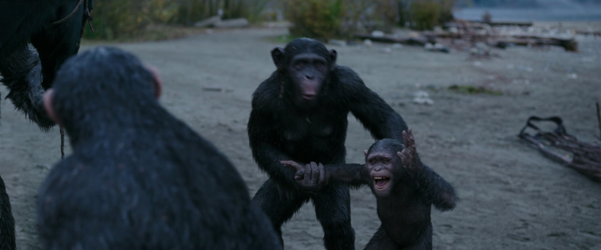 War for the Planet of the Apes (2017) HD screenshot 2921