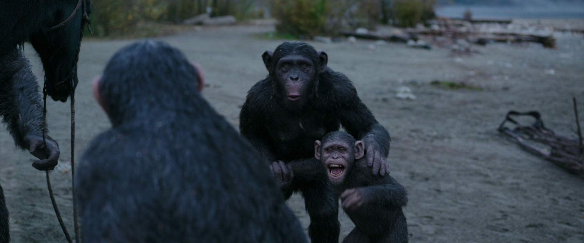 War for the Planet of the Apes (2017) screencap 2922