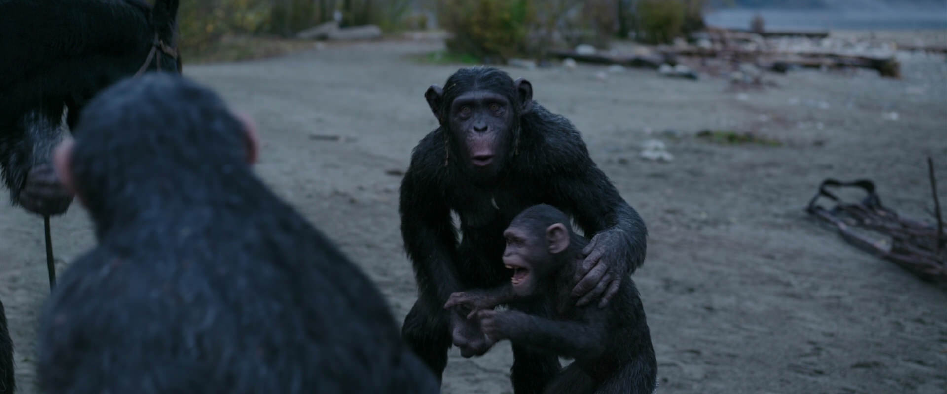 War for the Planet of the Apes (2017) movie still 2923