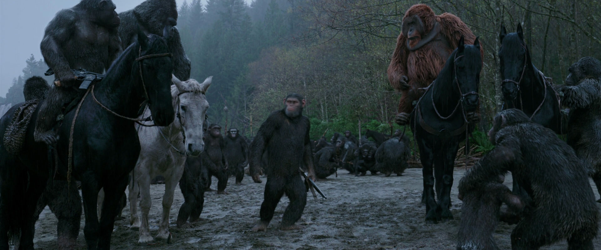 War for the Planet of the Apes (2017) screencap 2925