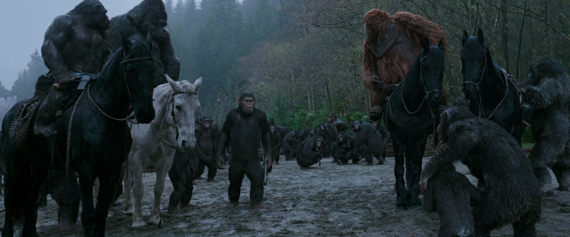 War for the Planet of the Apes (2017) screencap 2931