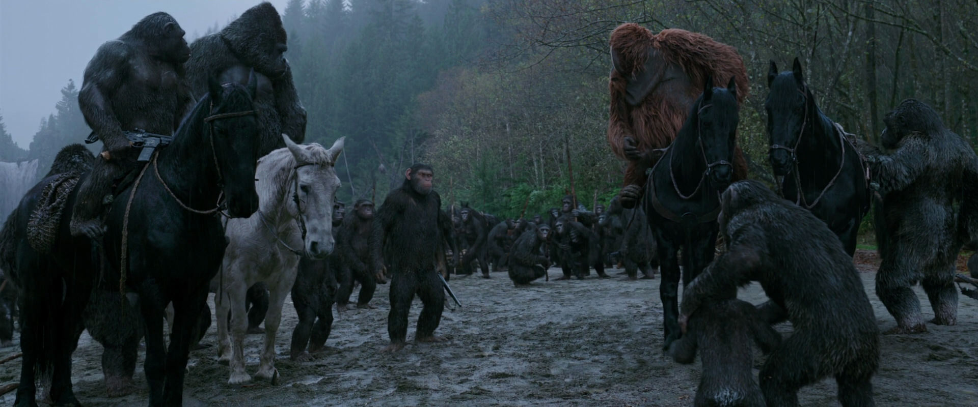 War for the Planet of the Apes (2017) screencap 2934