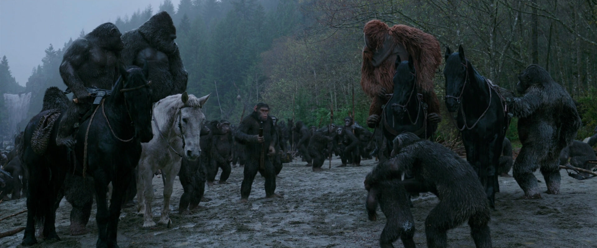 War for the Planet of the Apes (2017) movie still 2938