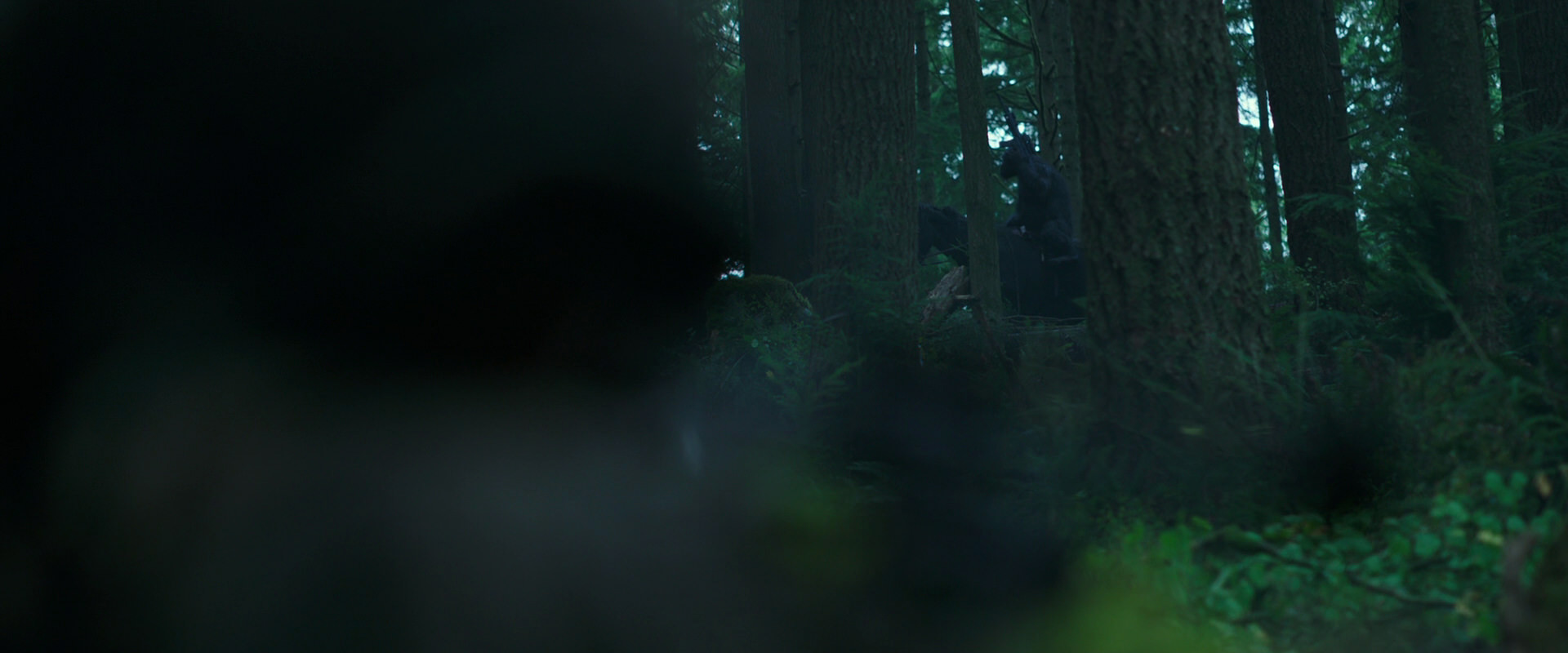 War for the Planet of the Apes (2017) screencap 294