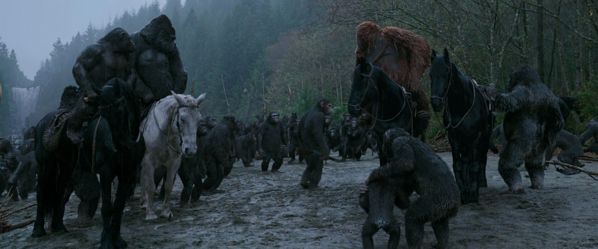 War for the Planet of the Apes (2017) movie still 2941