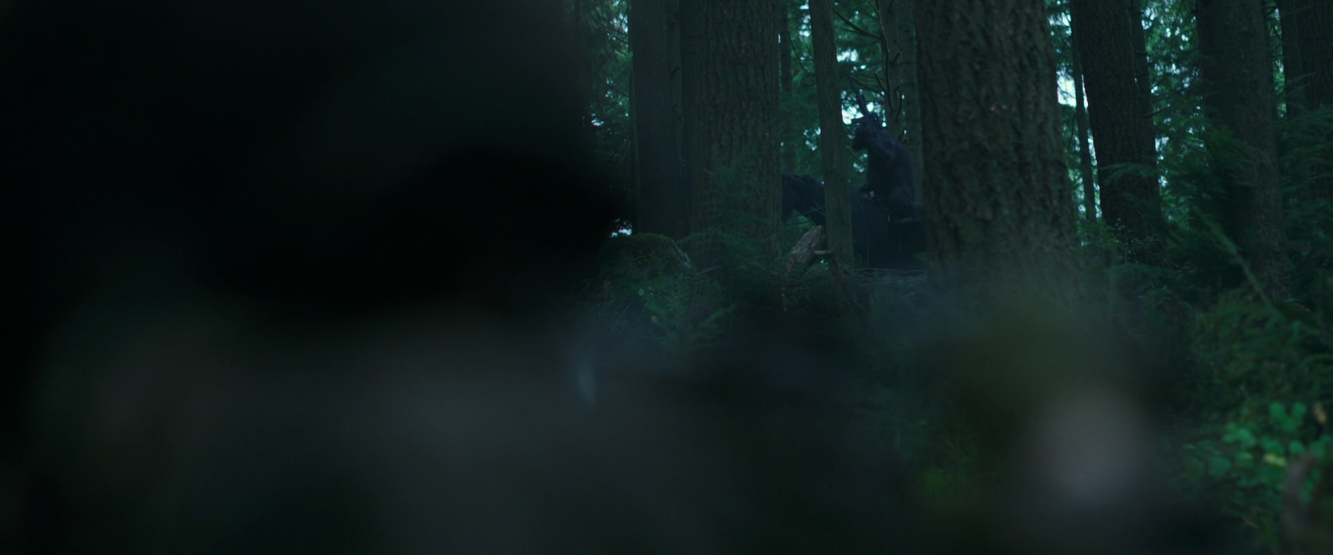 War for the Planet of the Apes (2017) movie still 295