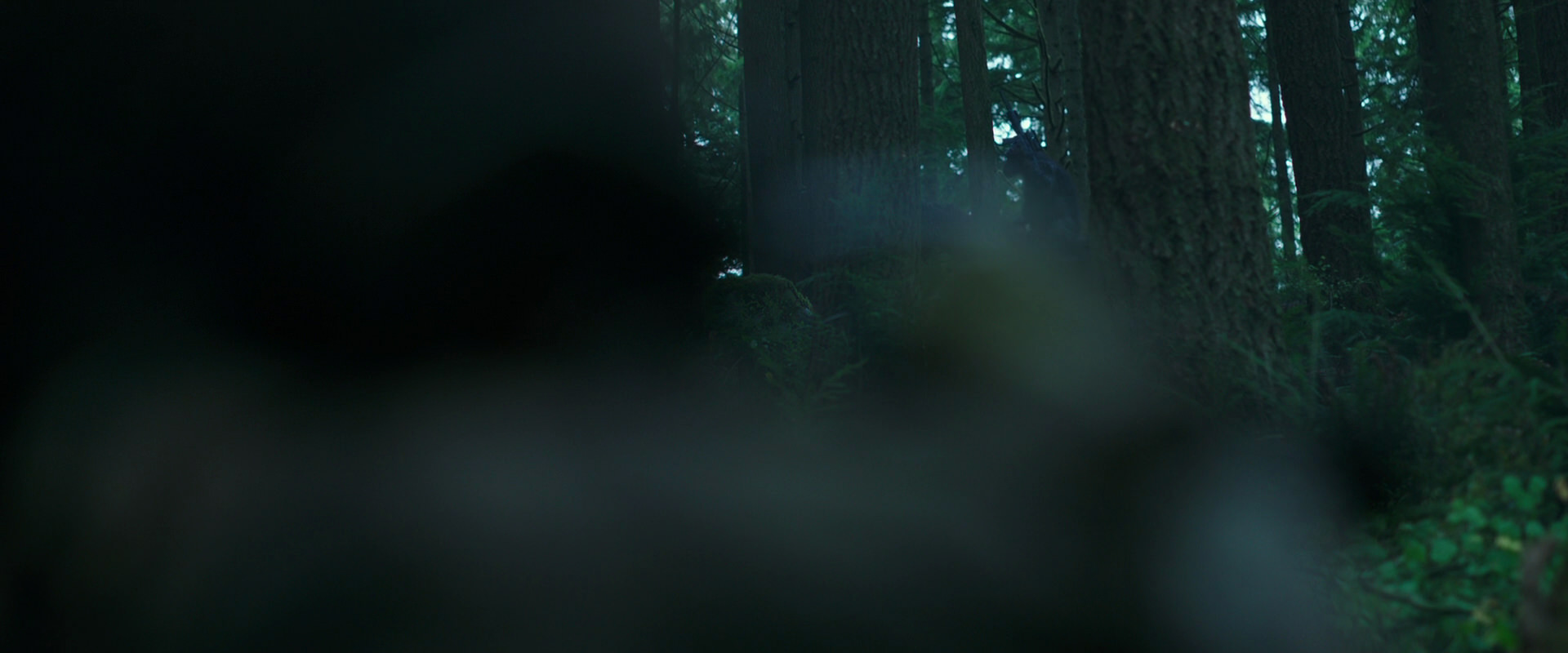War for the Planet of the Apes (2017) HD screenshot 296