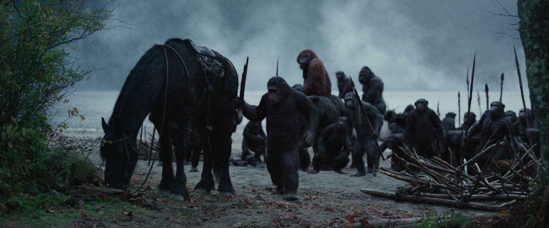 War for the Planet of the Apes (2017) HD screenshot 2960
