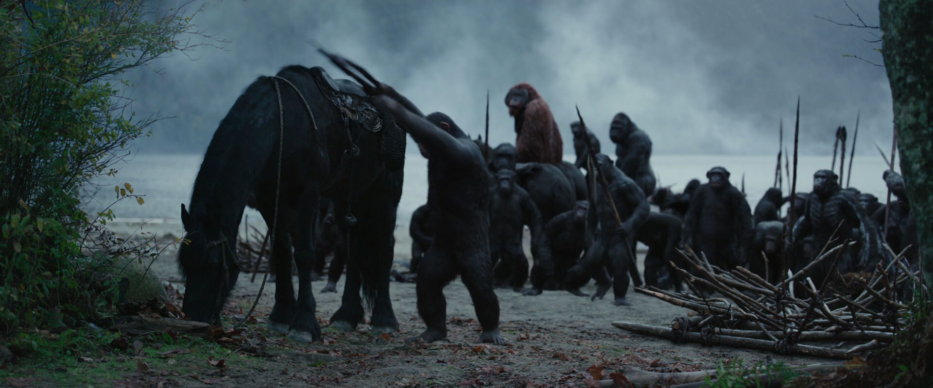War for the Planet of the Apes (2017) screencap 2961