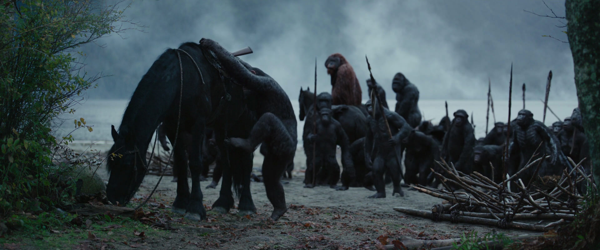 War for the Planet of the Apes (2017) movie still 2962