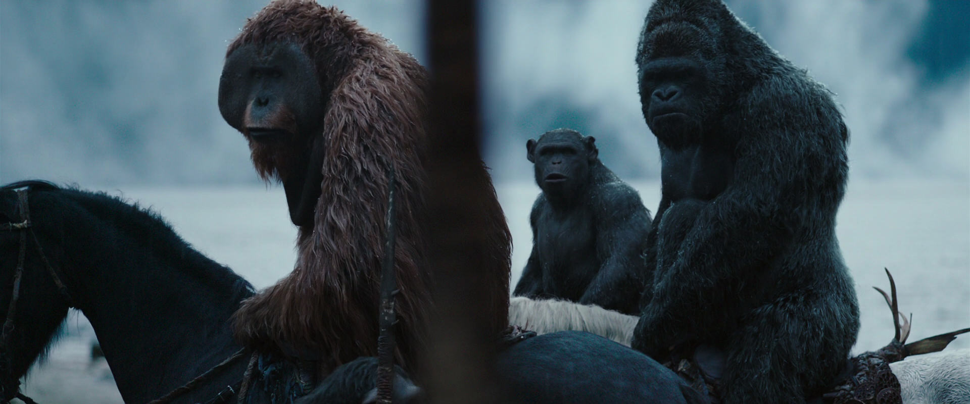 War for the Planet of the Apes (2017) screencap 2967