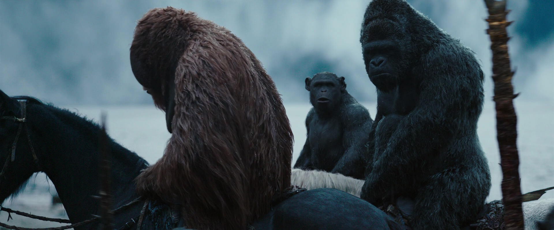 War for the Planet of the Apes (2017) movie still 2968