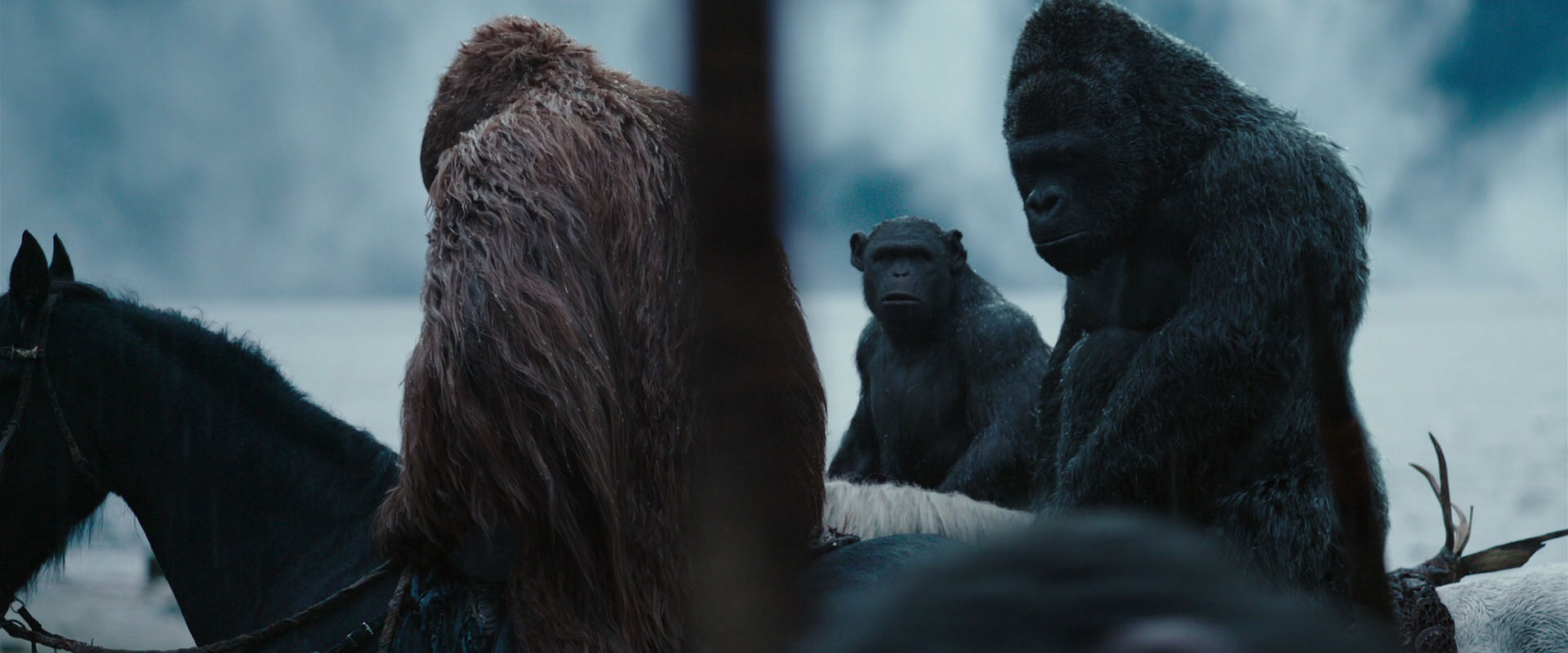 War for the Planet of the Apes (2017) HD screenshot 2972