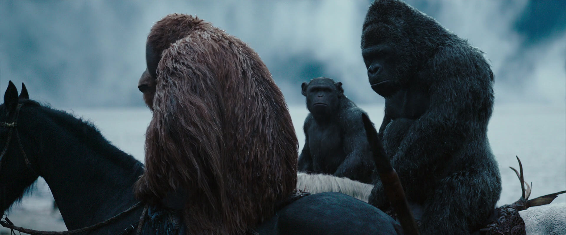 War for the Planet of the Apes (2017) screencap 2973