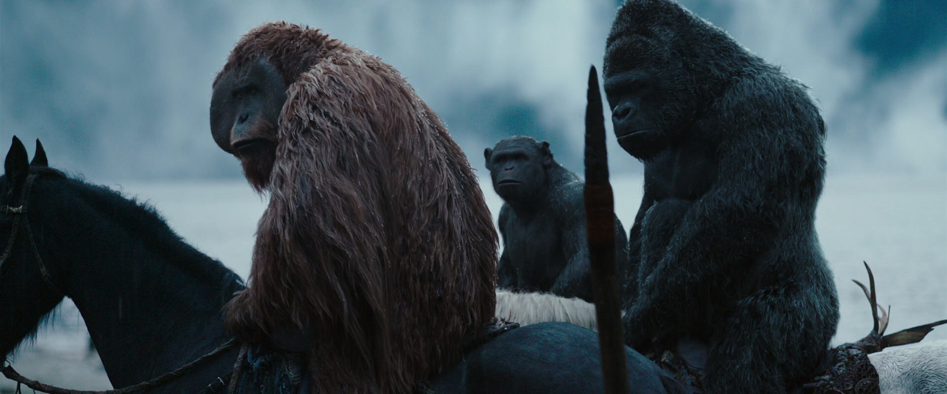 War for the Planet of the Apes (2017) movie still 2974