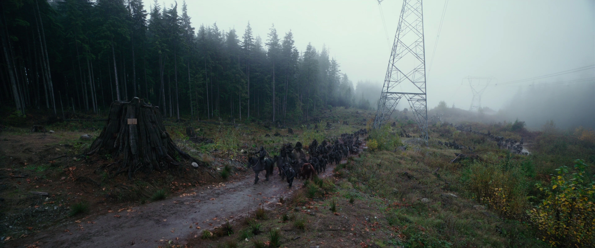 War for the Planet of the Apes (2017) screencap 2979