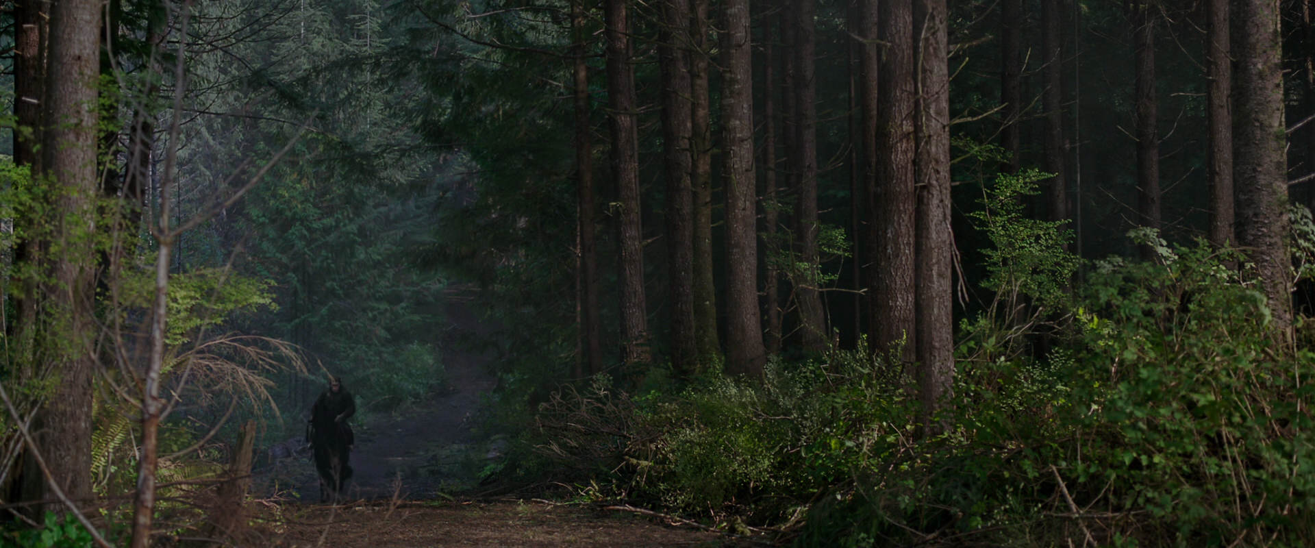 War for the Planet of the Apes (2017) HD screenshot 2993