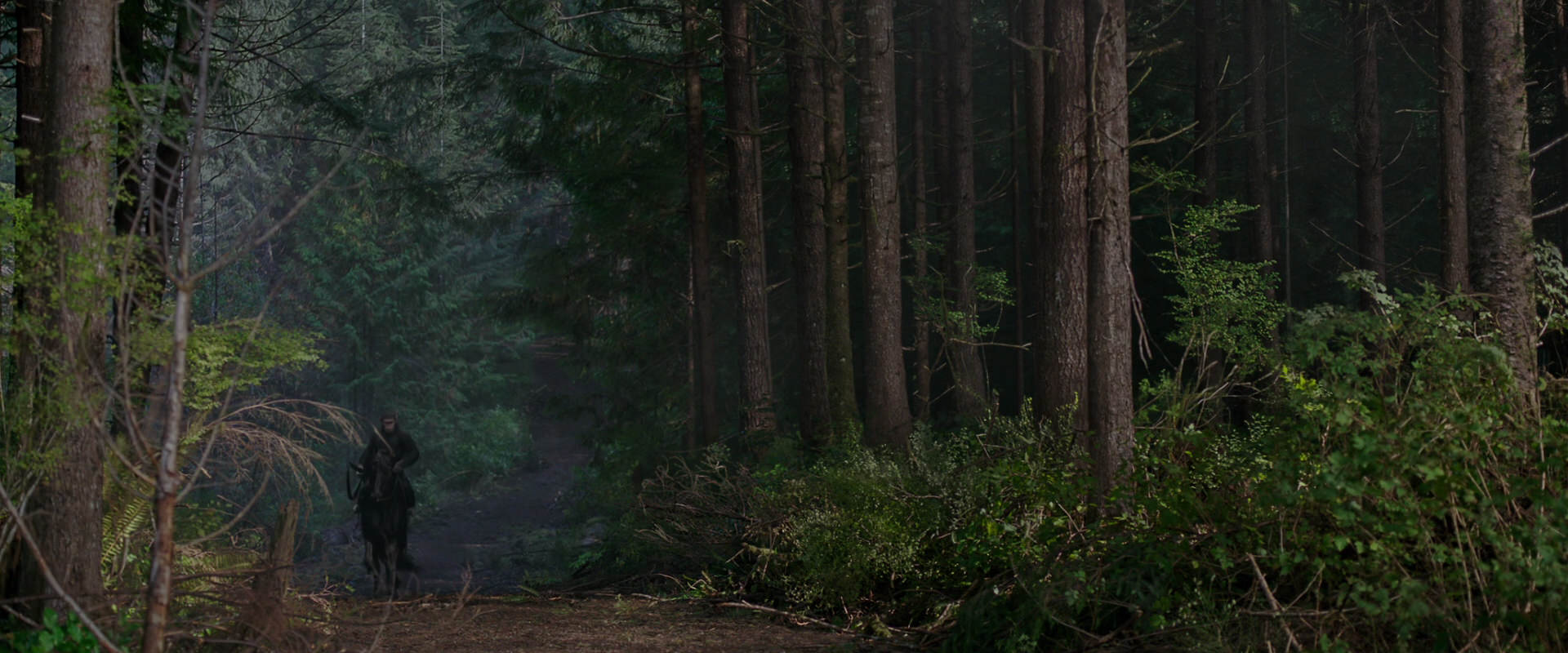 War for the Planet of the Apes (2017) movie still 2995