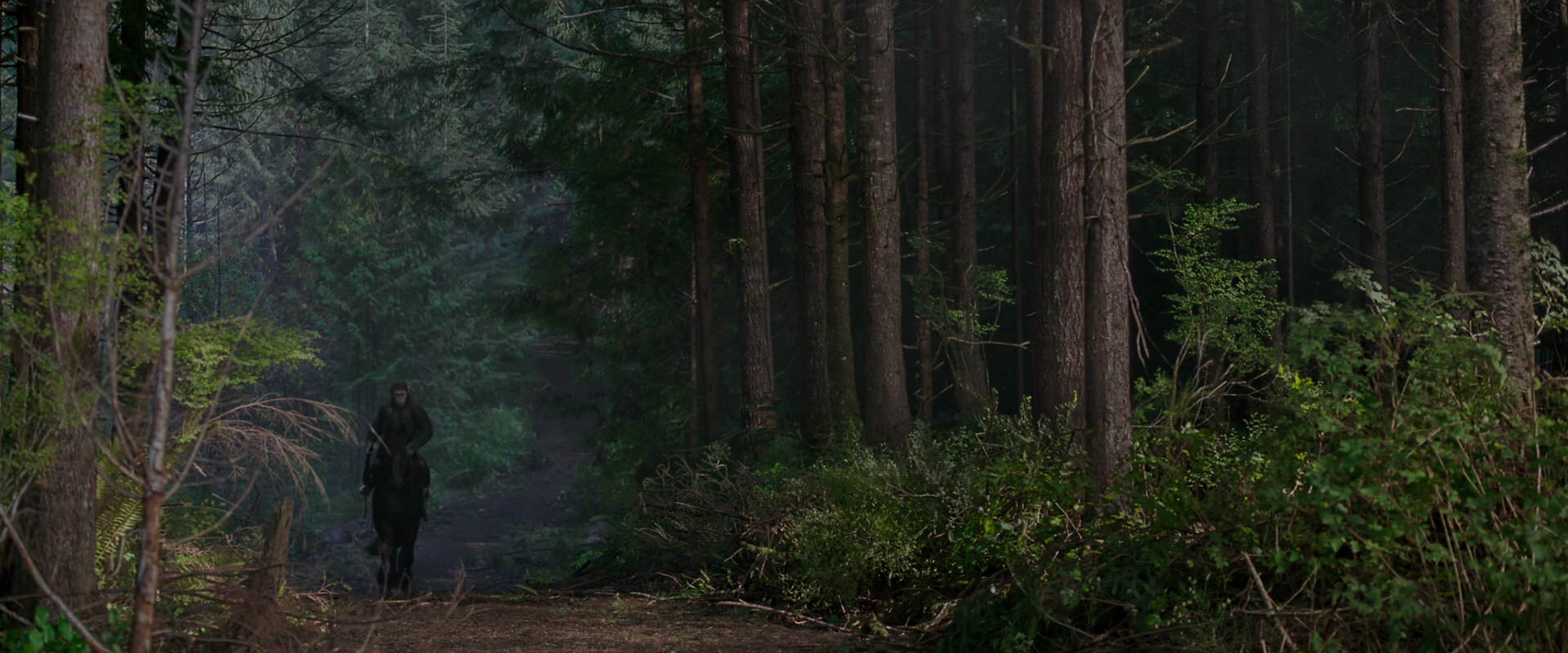 War for the Planet of the Apes (2017) screencap 2997