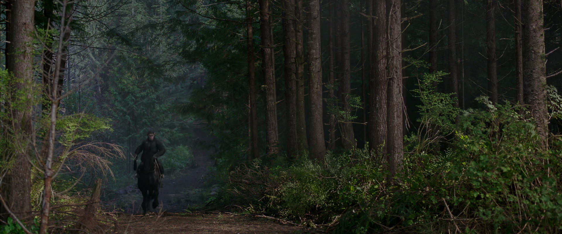 War for the Planet of the Apes (2017) HD screenshot 2999