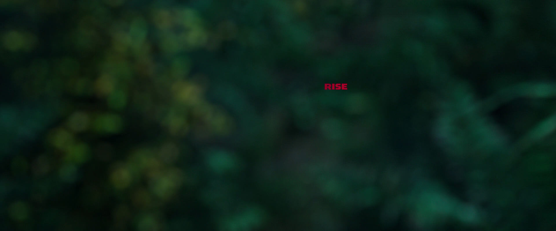War for the Planet of the Apes (2017) screencap 3