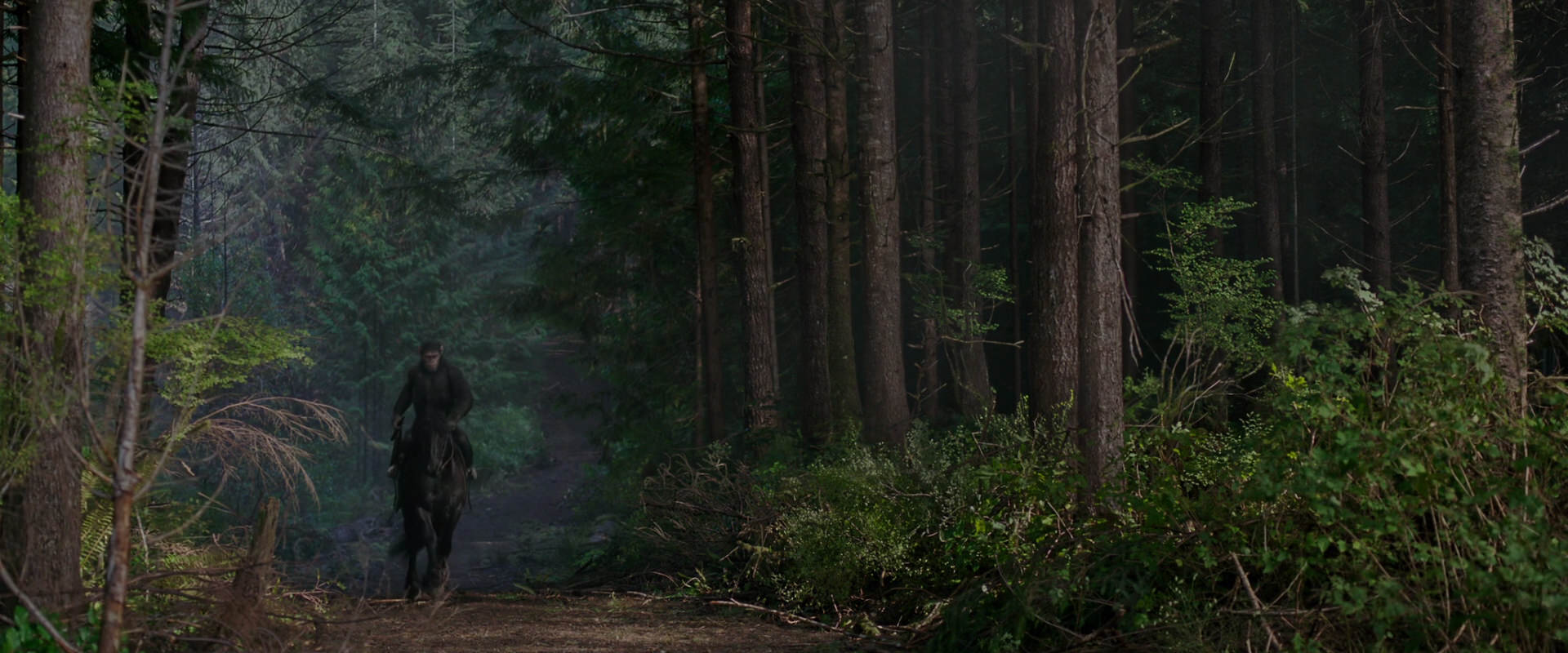 War for the Planet of the Apes (2017) screencap 3000
