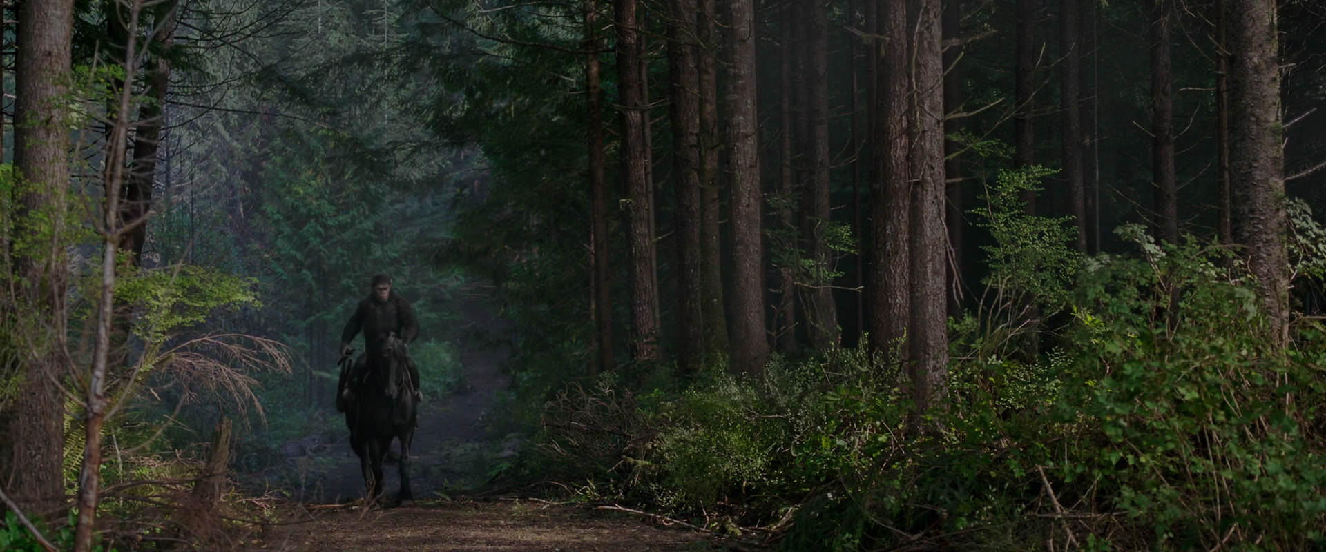 War for the Planet of the Apes (2017) movie still 3001