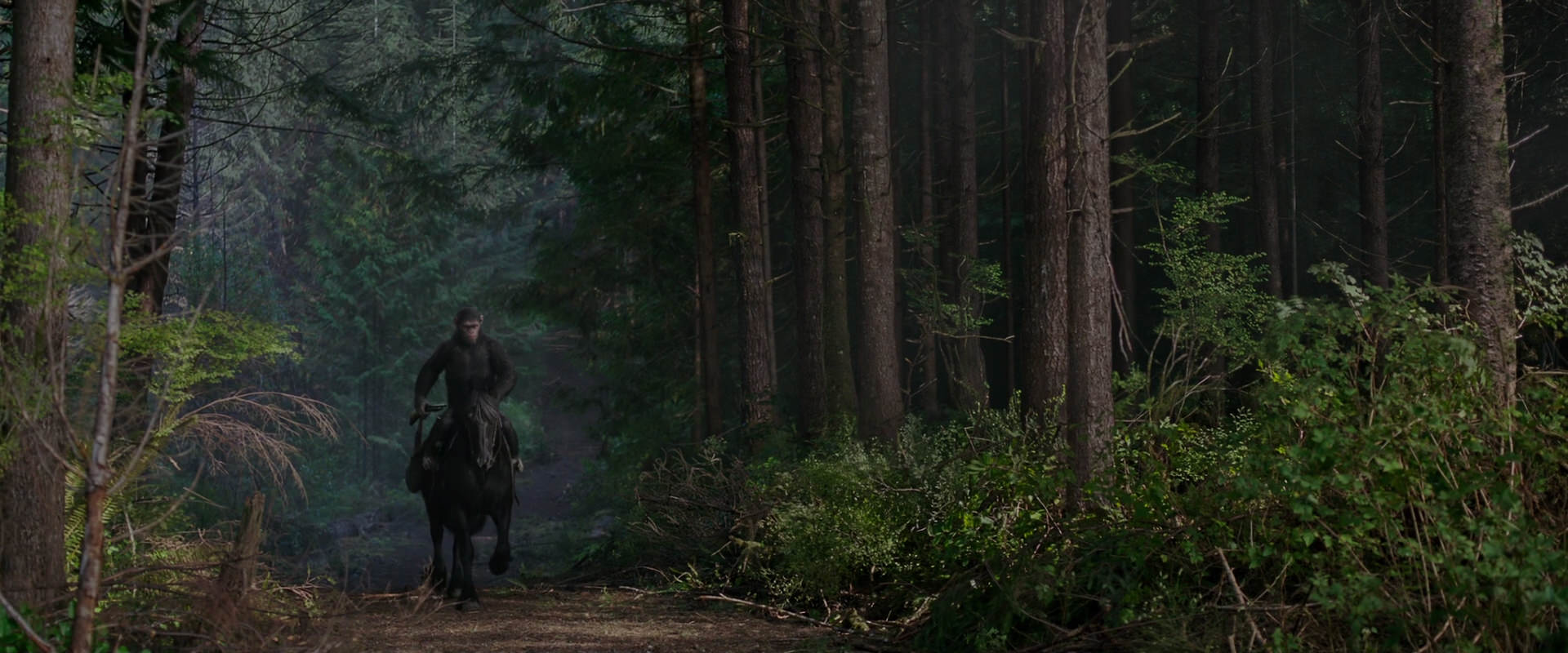 War for the Planet of the Apes (2017) HD screenshot 3002