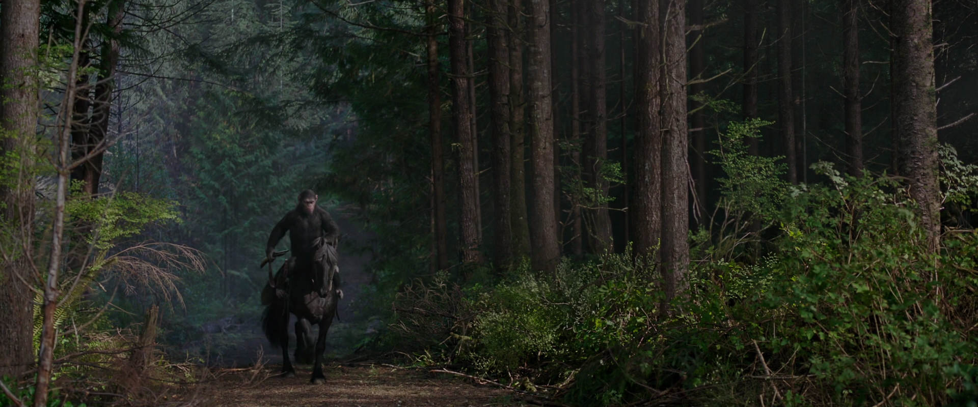 War for the Planet of the Apes (2017) screencap 3003