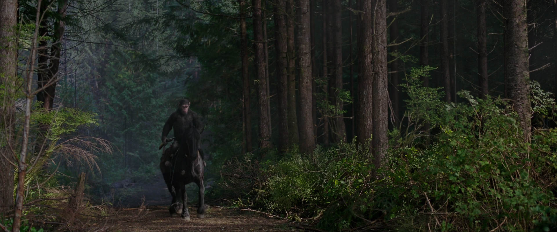 War for the Planet of the Apes (2017) movie still 3004