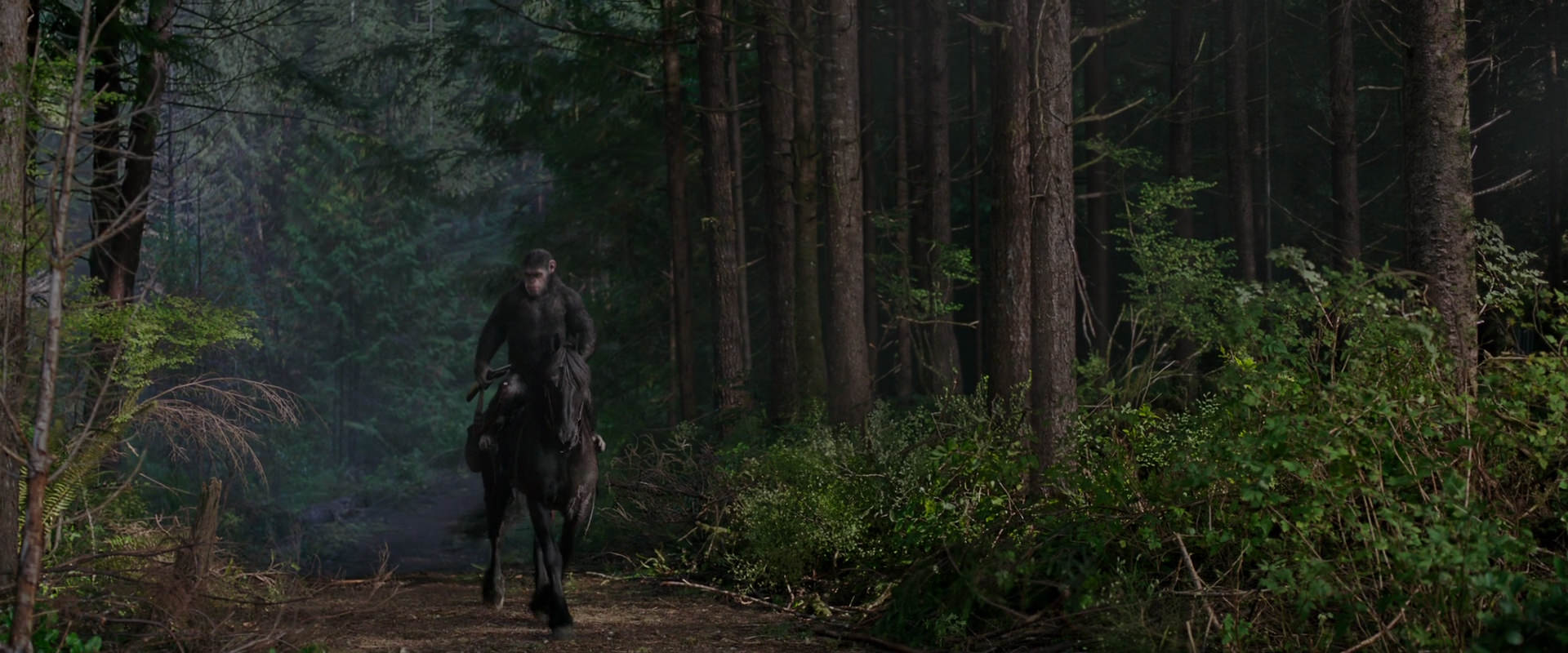 War for the Planet of the Apes (2017) HD screenshot 3005
