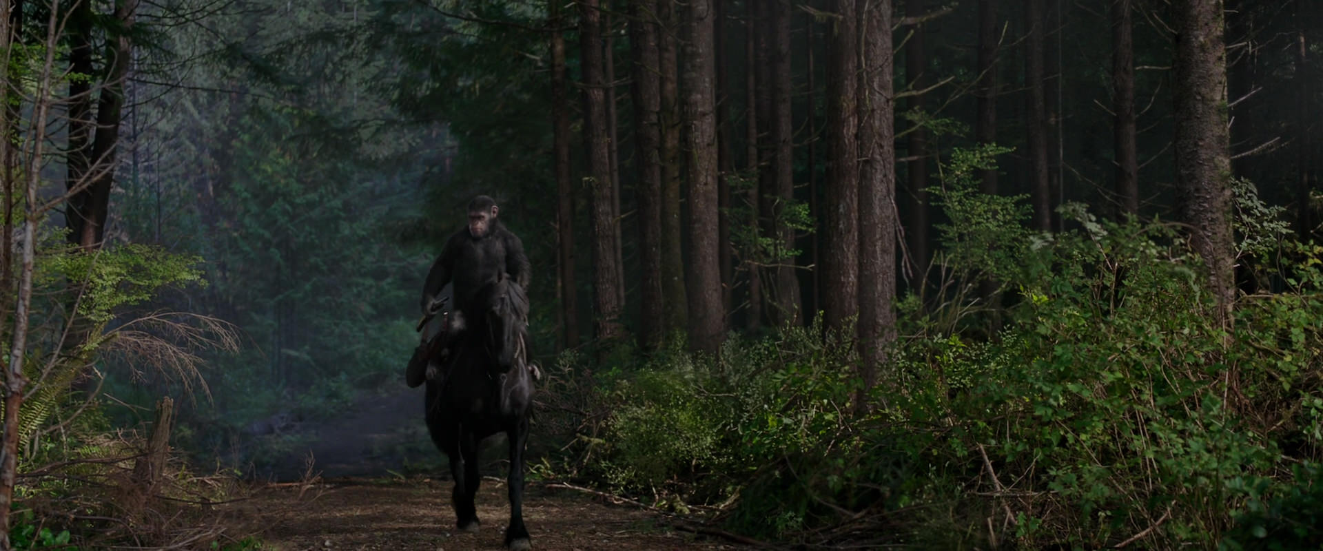 War for the Planet of the Apes (2017) screencap 3006
