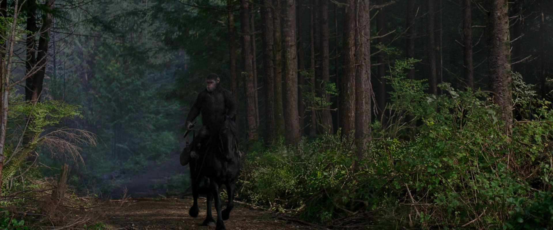 War for the Planet of the Apes (2017) movie still 3007