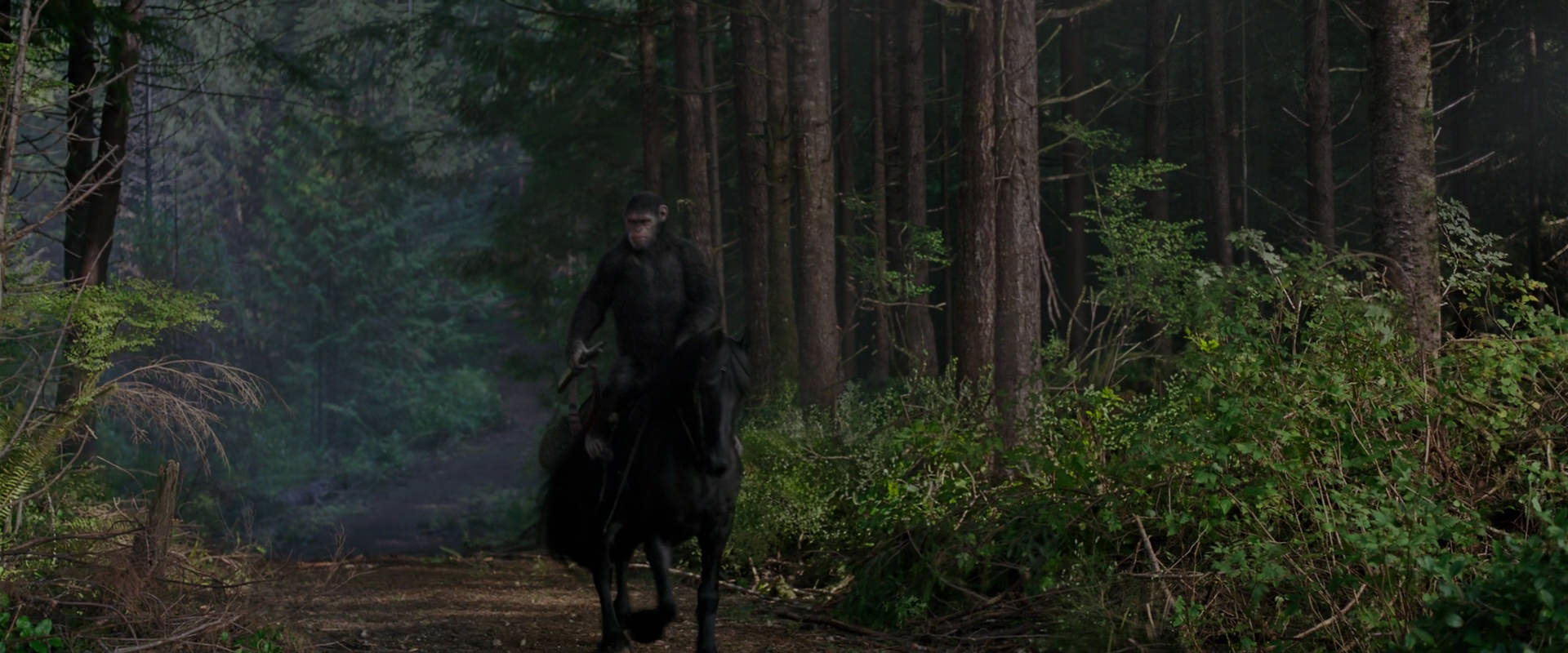War for the Planet of the Apes (2017) HD screenshot 3008