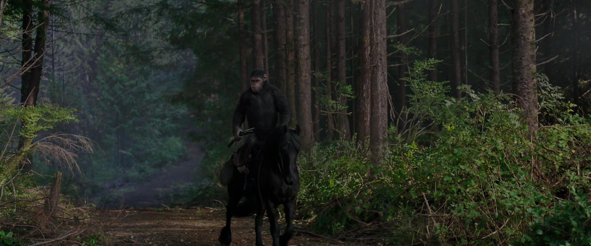 War for the Planet of the Apes (2017) screencap 3009