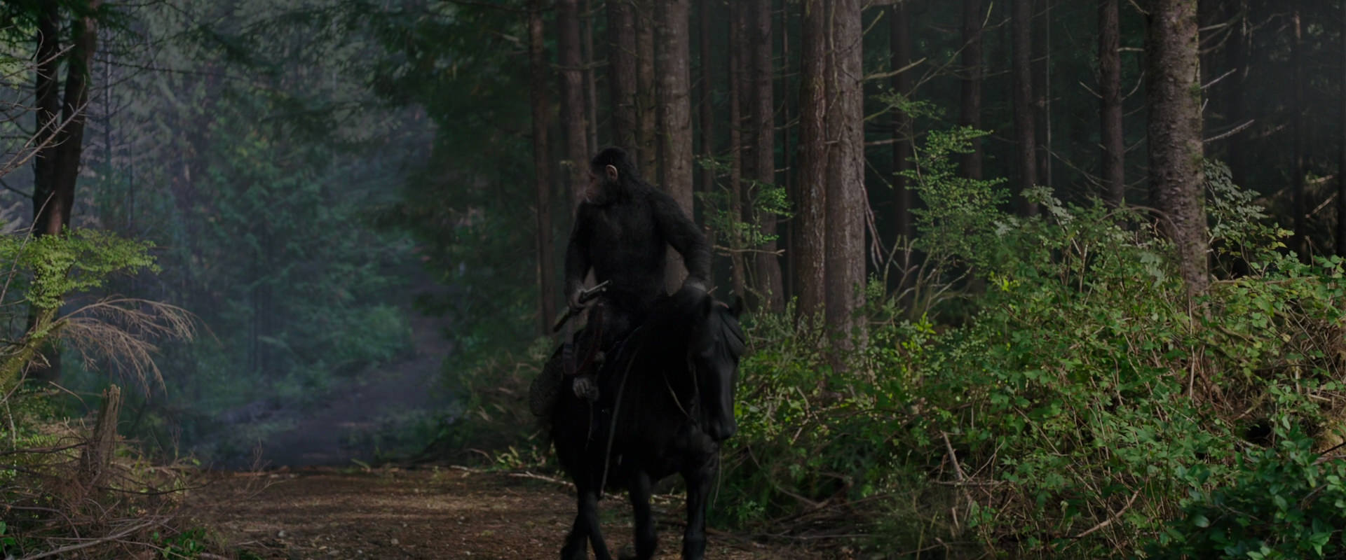 War for the Planet of the Apes (2017) movie still 3010