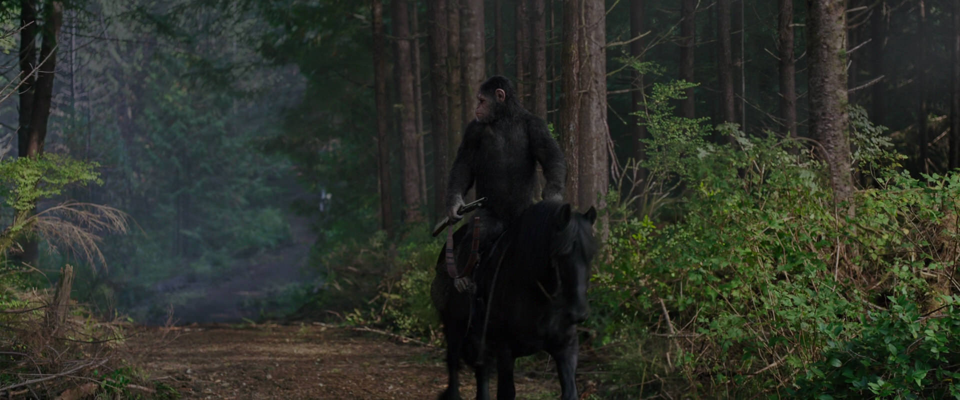 War for the Planet of the Apes (2017) screencap 3012